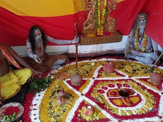 indian astrologer in bay area