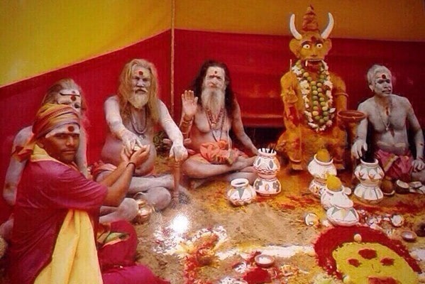 indian astrologer in bay area