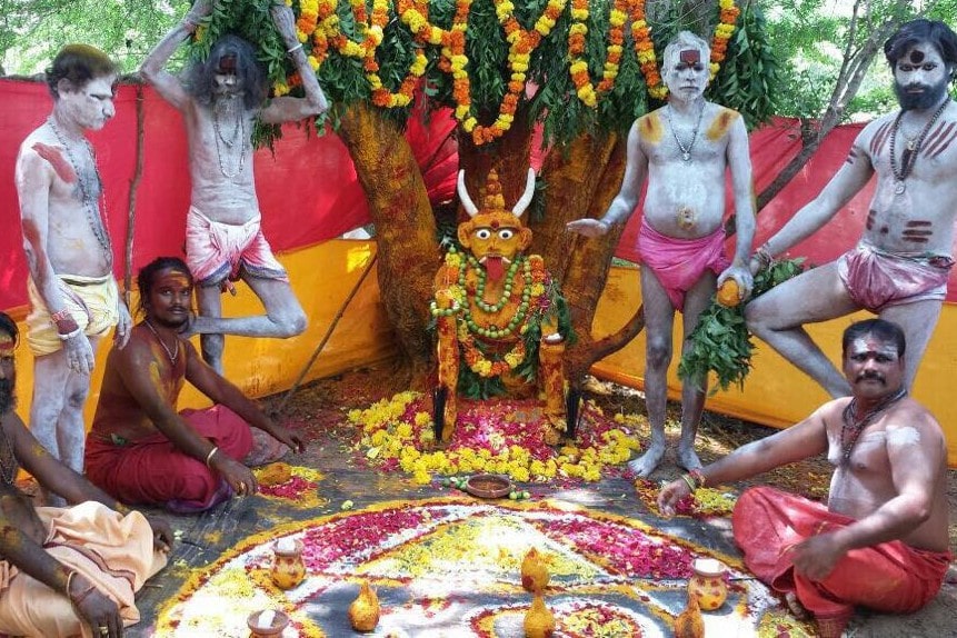 indian astrologer in bay area