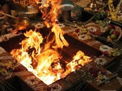 indian astrologer in bay area